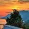Sedra Home