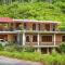 Pine Trees Homestay