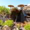 Castillo Lanzarote Villa Bailey - Luxury Villa - Pet friendly with heated Pool