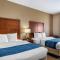 Comfort Inn South Chesterfield - Colonial Heights - 科洛尼尔海茨