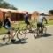 Authentic Bicycle Tours and Backpackers - Soweto