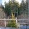 Cozy house in Kosta center surrounding with Swedish nature