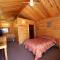 Bear Country Cabin #4