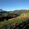 Alpinus Agriturism - San Martino in Badia