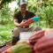 Finca Amistad Cacao Lodge
