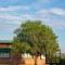 Olive Tree Farm