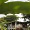 Treehouse Apartment at La Lodge at Long Bay