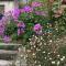 Skylark Bed & Breakfast