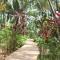 mame trees