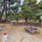 Sand Castle Beach Home