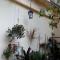 Pulisen Homestay