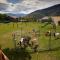 Casa Rural Macia - Apartamentos