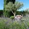 Le gite de lOlivier en Provence