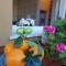 Versilia Apartment