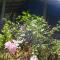 Dambulla Sun Vsh Holiday