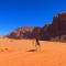 Foto: Wadi Rum Nabatean Camp 2/59