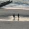 Domburg Holiday Resort