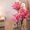 Ulika Rooms