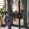 Boutique Macchiato House