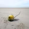 Stella le Touquet Berck T2