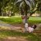 Heritage Resort Hampi