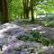 Craigadam Country House Hotel