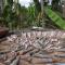 Chansor Community Homestay 17