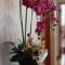 Ri Jing Yuan Homestay