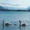 Berner Oberland Am Thunersee - Därligen