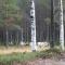 Lapland Stuga & Tours Cottage E - Rentjärn