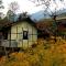 Parkha Homestay