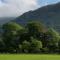 Lake View Country House and Self-catering Apartments
