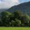 Lake View Country House - Grasmere