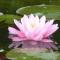 Wellness- und Gartenhotel Heusser