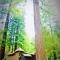 Redwoods River Resort & Campground - Leggett Redwoods River Resort & Campground - Leggett