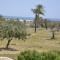 Ranch Tanit Djerba - Midoun