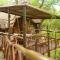 Pezulu Tree House Lodge