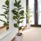 Rooms Malina