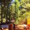 Redwoods River Resort & Campground - Leggett Redwoods River Resort & Campground - Leggett
