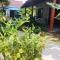 Hoi An Blue Seaside Homestay