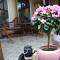 Art Styles Boutique Apartment Szentendre - Szentendre