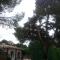 Villa Chabola