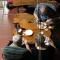 Nha Lan Homestay