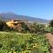 FINCA LA PLANTACIÓN _Agroturismo
