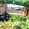FINCA LA PLANTACIÓN _Agroturismo