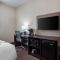 Sleep Inn & Suites Tampa South - Тампа