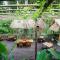 Keramas Sacred River Retreat Resort and Villa