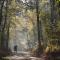 B&B De Loenense Bossen
