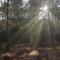 B&B De Loenense Bossen