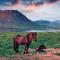 Experience Beautiful Iceland